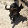 Thaïlande - 
