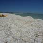 Australie - Shell beach