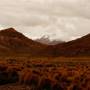 Bolivie - 