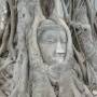 Thaïlande - Bouddha dans un arbre