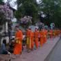 Laos - Tous les matins, dons de nourriture aux monks