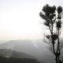 Thaïlande - 