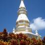 Thaïlande - Temple de Wat pa tak sua