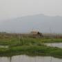 Birmanie - 