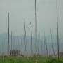 Birmanie - 
