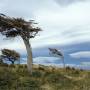 Argentine - Tierra del Fuego