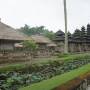 Indonésie - Nos premiers temples