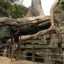 Cambodge - Temple d