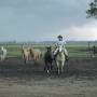 Argentine - Gauchos