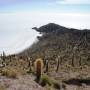 Bolivie - Trip Uyuni, isla Incahuasi