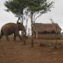 Cambodge - 