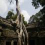 Cambodge - 