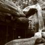 Cambodge - 