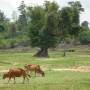 Laos - 