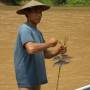 Laos - poissons sur brochettes