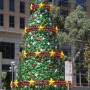 Australie - GraaAAAnd Sapin de No&euml;l