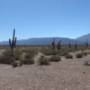 Argentine - Entre Salta et Cafayate