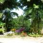 Malaisie - Lake Gardens