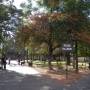 Argentine - 