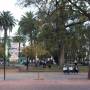 Argentine - 