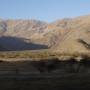 Argentine - 