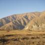 Argentine - 