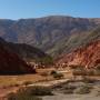 Argentine - 