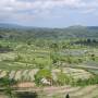 Indonésie - Rice field Tirta-ganga