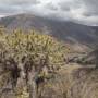 Pérou - Pisac