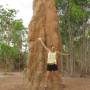 Australie - Ad qui essaye de sauter plus haut que le nid de thermites