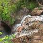 Australie - Tjaetaba falls