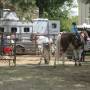 USA - State Fair