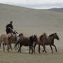 Mongolie - 