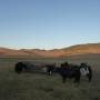 Mongolie - 