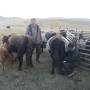 Mongolie - 