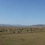 Mongolie - 