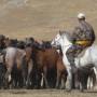 Mongolie - 