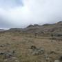 Mongolie - 
