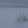Mongolie - Lendemain