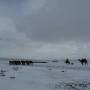Mongolie - 