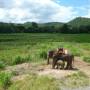 Thaïlande - 