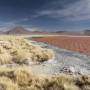 Bolivie - Laguna Colorada