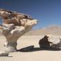 Bolivie - arbol de piedra