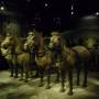 Chine - Armee de terre cuite