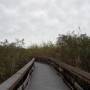 USA - paysage everglaes