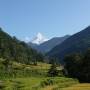 Inde - Treck du Sanctuaire des Annapurnas