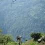 Darjeeling: Vue sur l'hymalaya...