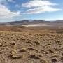 Bolivie - Pampa 3