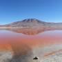 Bolivie - Laguna colorada