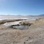 Bolivie - Laguna colorada 2
